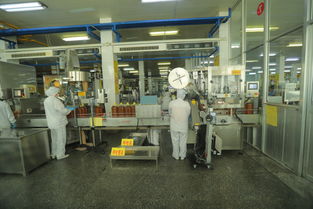 科技與誠信 驅(qū)動魯花騰飛的雙翼