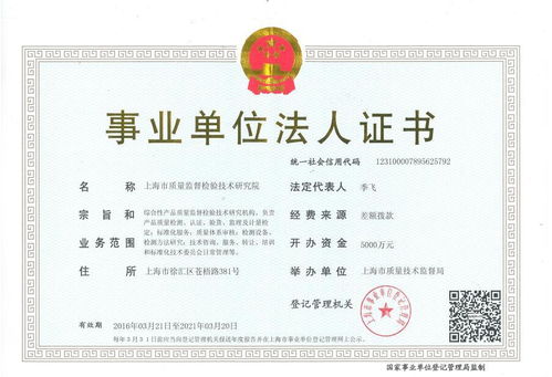 營業執照中的技術開發 入門指南與核心考量